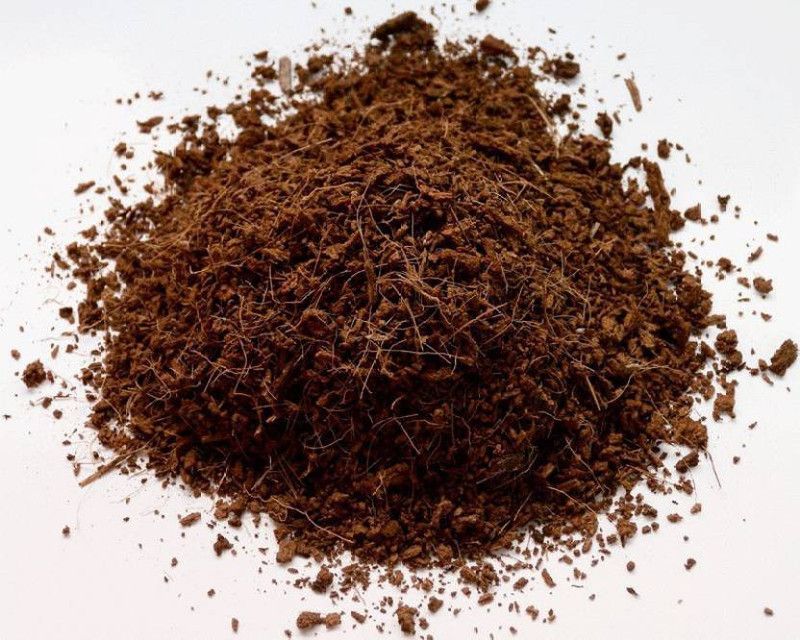 Wizards COCO PEAT Potting Mixture  (1 kg, Powder)