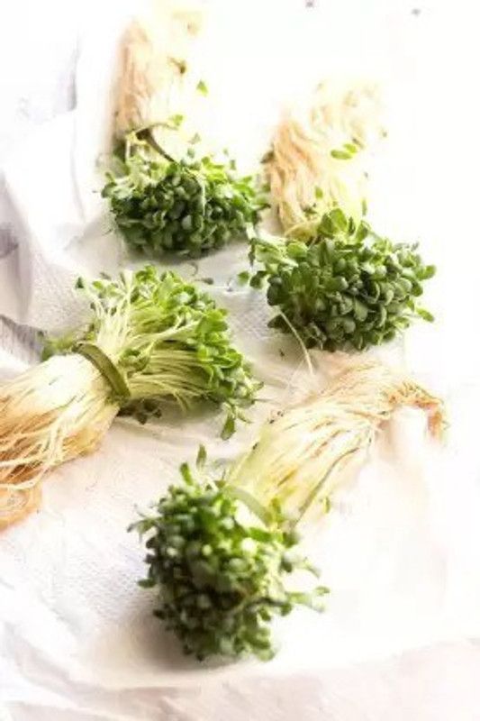 Chalisa Fenugreek, Methi Seed  (180 per packet)