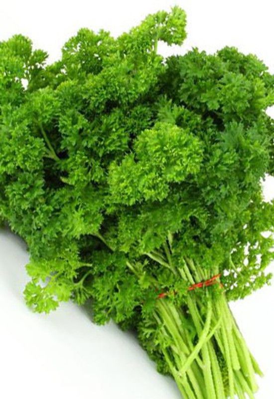 Nodoc Parsley Seed  (53 per packet)