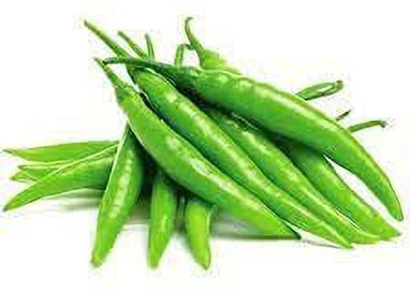 KANAYA Chilli Seeds | Mirchi Ke Beej Chilli F1 Hybrid Vegetable Seed  (300 per packet)