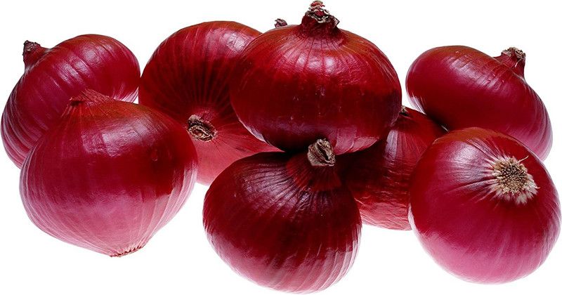 seedagro Red Onion Seeds( 20 Seeds ) Seed  (245 per packet)