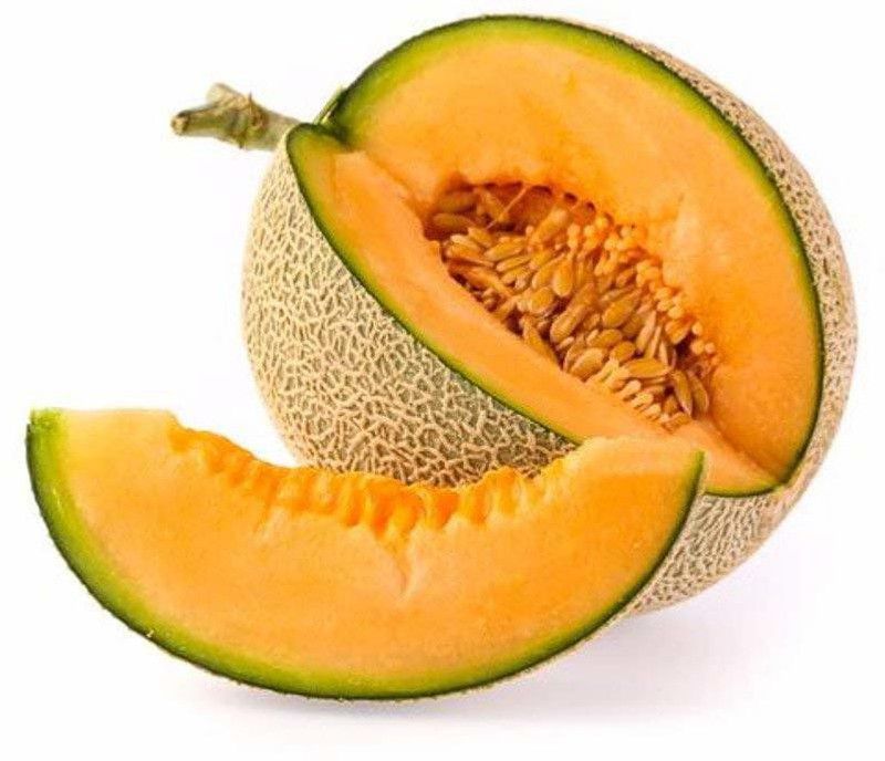 JRYU Kharbuja Seed  (255 per packet)