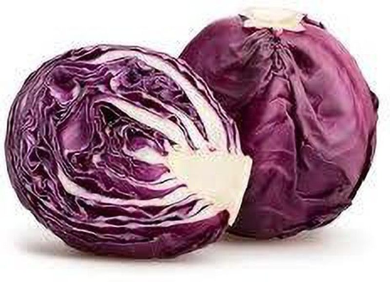 Nodoc Red cabbage Seed  (46 per packet)