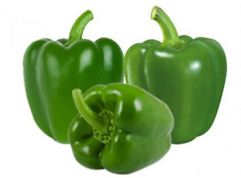 PLANTZON Capsicum Seed  (20 per packet)