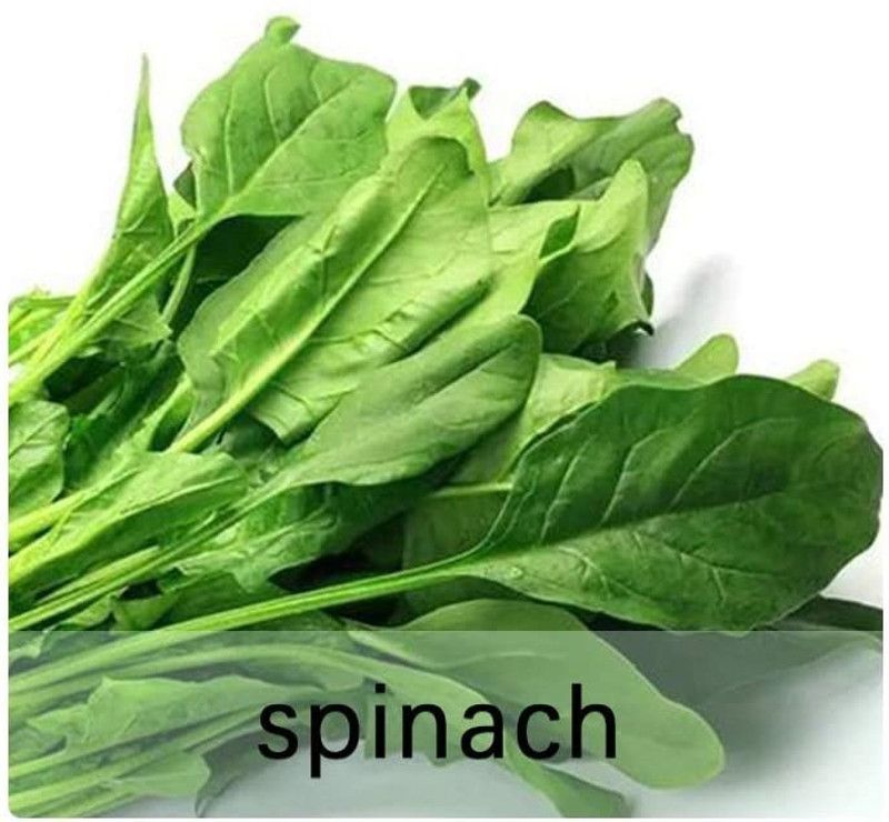 CYBEXIS Heirloom Green Spinach Seeds4000 Seeds Seed  (4000 per packet)