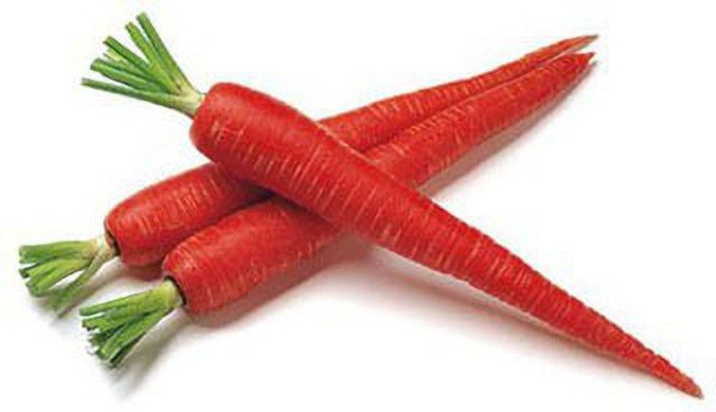 Nodoc Red carrot Seed  (56 per packet)