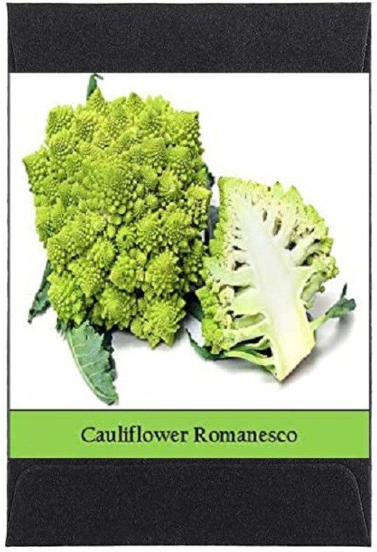 Qualtivate ® Heirloom Broccoli/Cauliflower Romanesco Seeds(250 Seeds) Seed  (250 per packet)