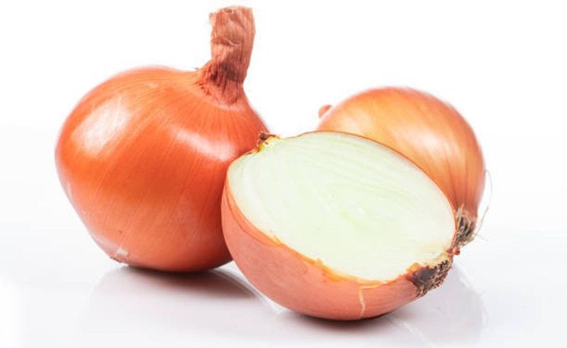 Splorias Light Red Onion Seed  (55 per packet)