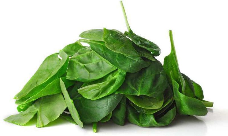 PLANTZON Spinach Seed  (15 per packet)