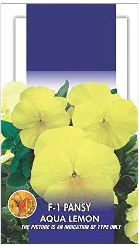 CYBEXIS Pansy Aqua Lemon Flower Seeds Seed  (50 per packet)