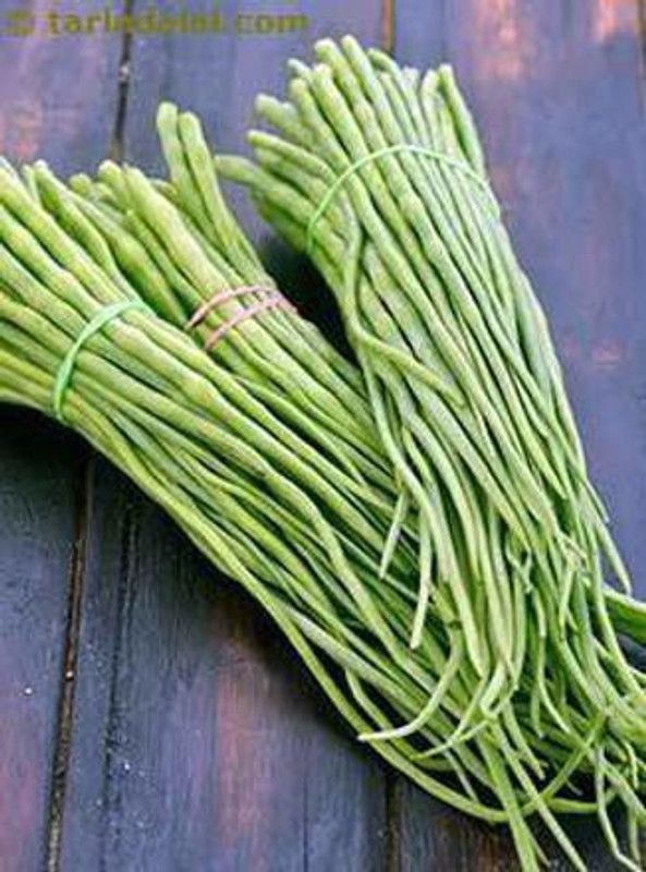 KANAYA Singra Seed  (700 per packet)