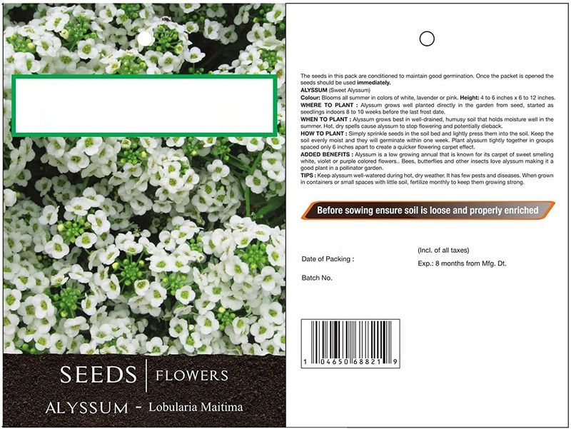 CYBEXIS Alyssum Royal Mixed Seeds Seed  (1 g)