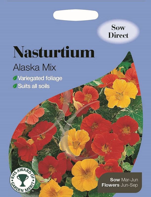 CYBEXIS Nasturtium Alaska Mix Seed  (50 per packet)