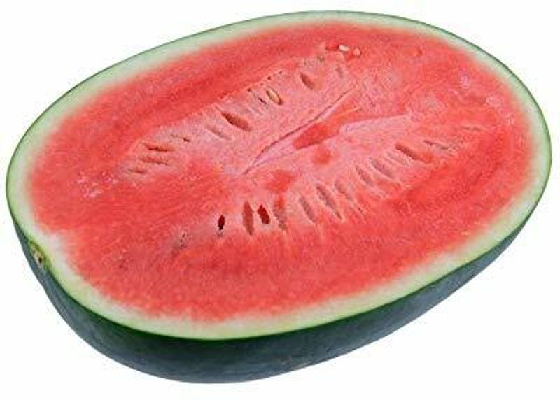 TRICONE Watermelon Seed  (100 per packet)