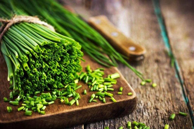 WILLVINE XLR-118 Organic Chives Seeds-1000 Seed  (1000 per packet)