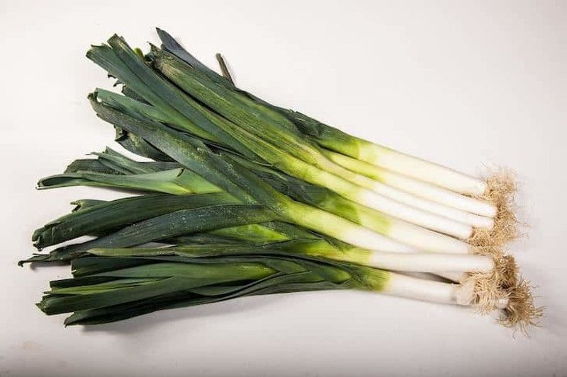 Nodoc Leek Seed  (55 per packet)