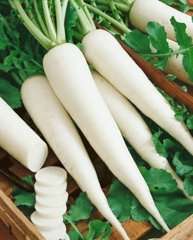 sm shop Radish Seeds Long White - Pack of 150 Seeds. Seed  (150 per packet)