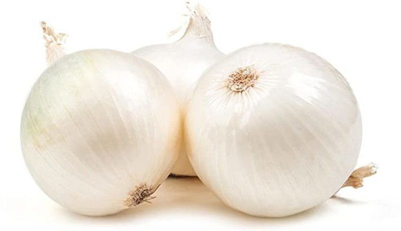 Paudha Organic White Onion Plant Seed  (82 per packet)