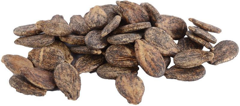 WILLVINE ™Hybrid Watermelon Seed Seed  (200 per packet)