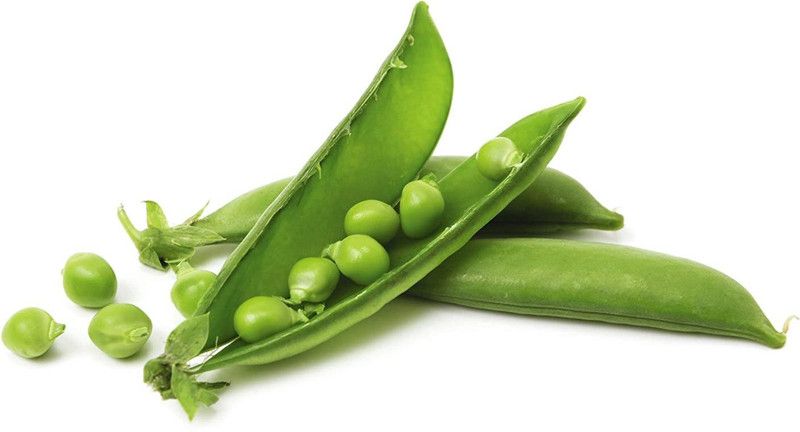 KANAYA Green Peas f1 Hybrid Organic Seeds Seed  (400 per packet)