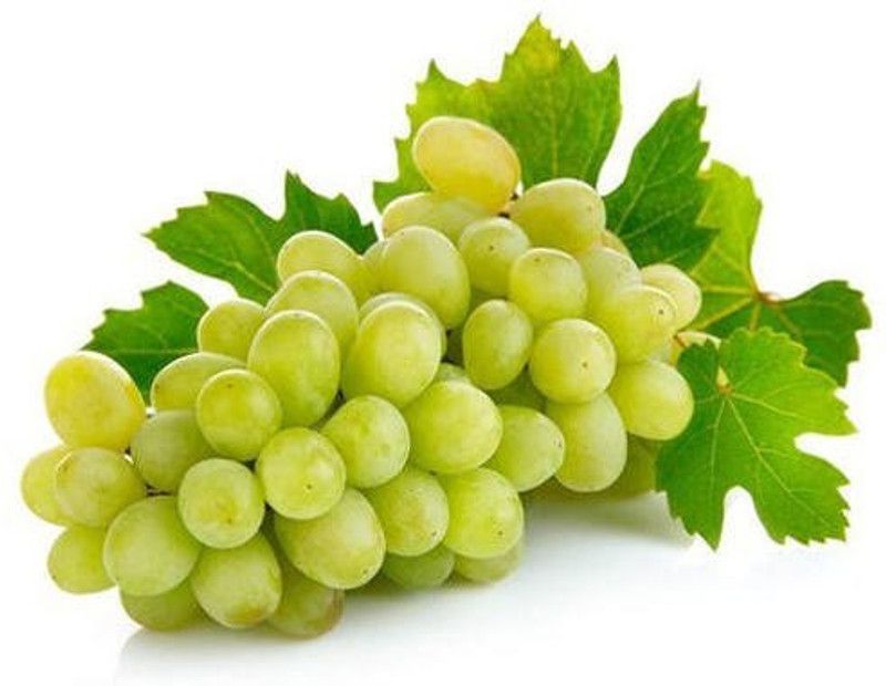 PLANTZON Grapes Seed  (20 per packet)