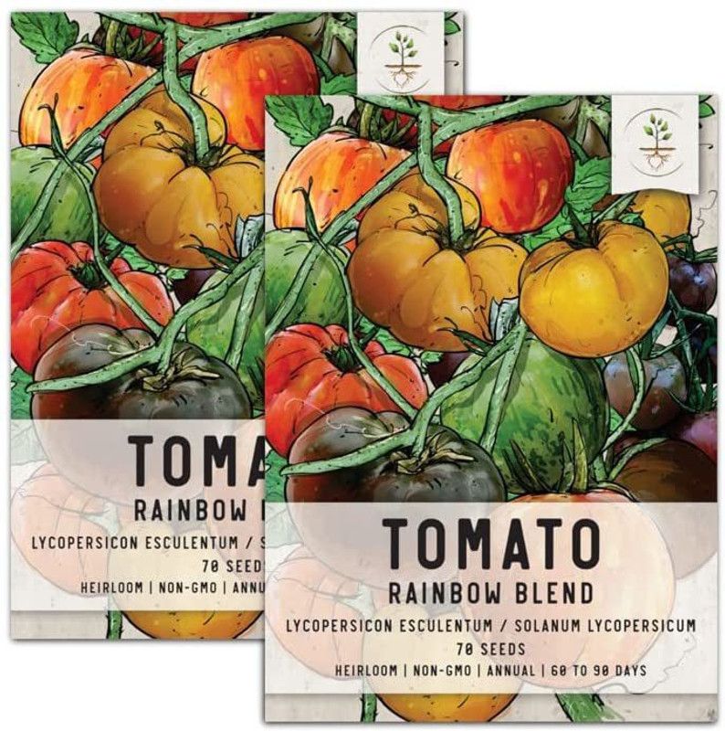 VibeX ® VLR-762 Tomato Seeds Rainbow Blend Seed  (200 per packet)