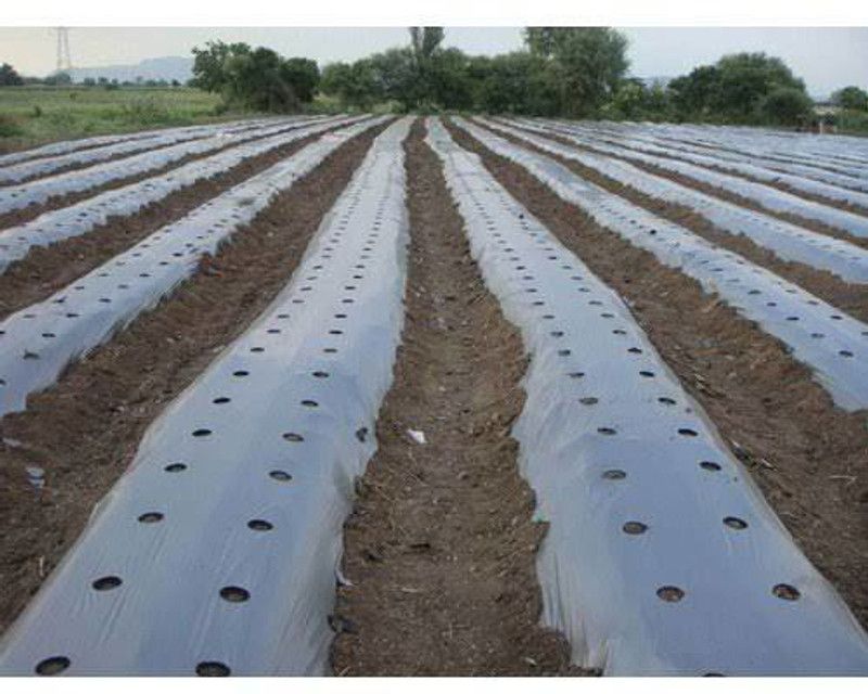 DMG Dmg1m Garden Mulch  (Silver 10 kg)