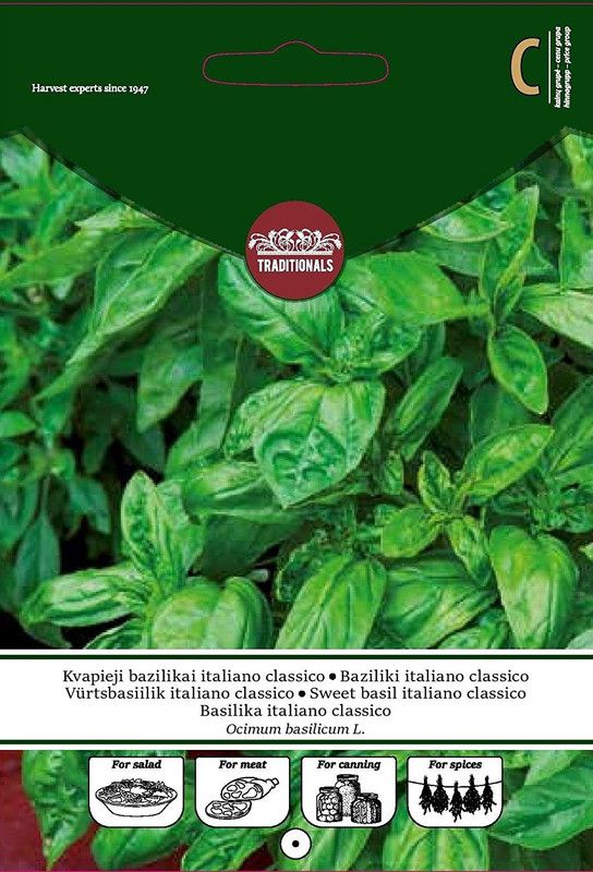 WILLVINE Sweet Basil Italiano Classico Seed Seed  (500 per packet)