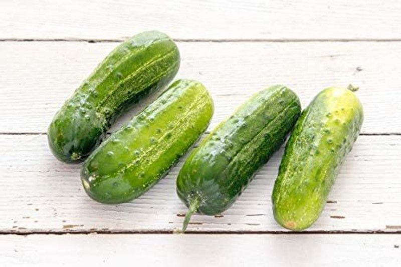 WILLVINE PAU-124 Boston Pickling Cucumber Seeds-400 Seed  (400 per packet)