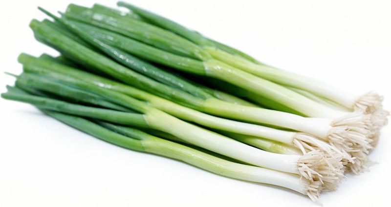 XOLDA Bunching Onion Vegetable Seed  (25 per packet)