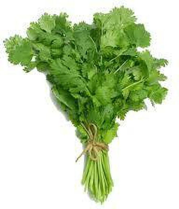 Mozette Organic Coriander Seed  (28 per packet)