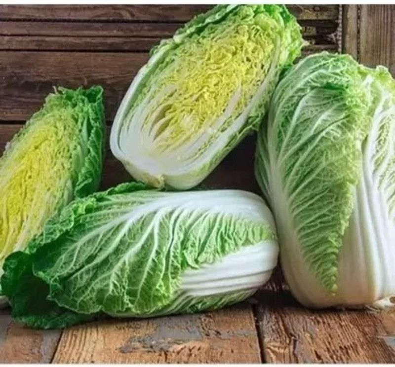 MAA Chinese Cabbage, Napa Seed  (64 per packet)