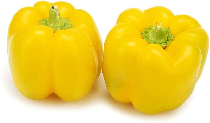 TRICONE Capsicum Seed  (180 per packet)
