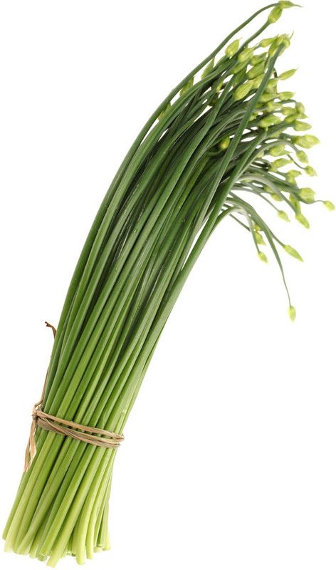 Nodoc Garlic chives Seed  (41 per packet)