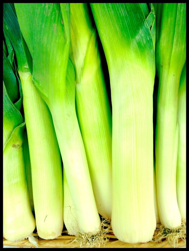 OMOM Leek Seed  (101 per packet)