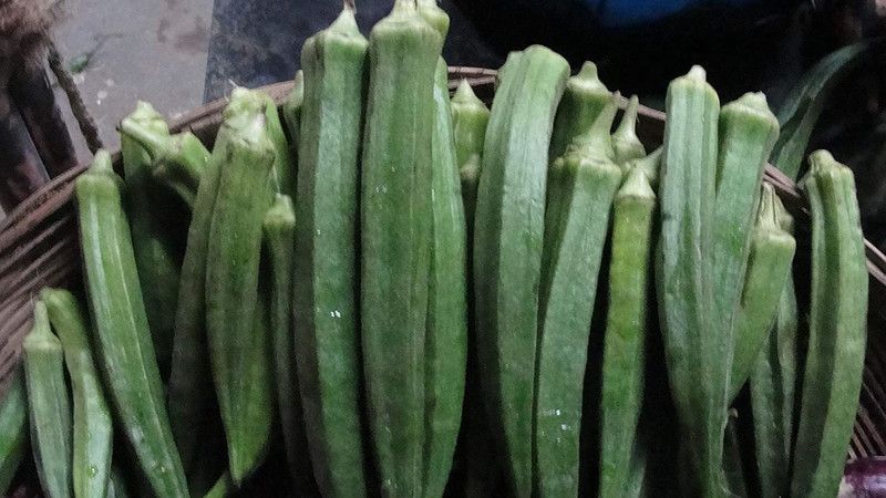 Qualtivate ® Fast Grow OKRA/VENDAKAI/VENDAKA SEEDS Seed  (2500 per packet)