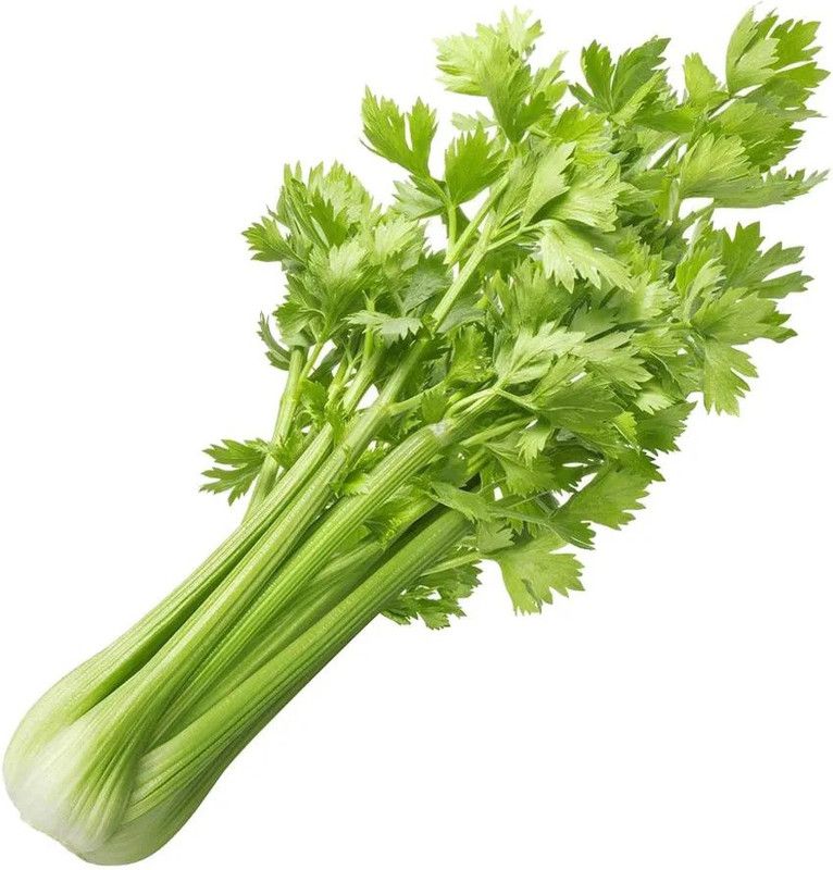 Mozette Celery Seed  (98 per packet)