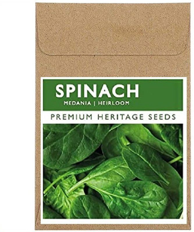 Qualtivate Spinach Seed  (750 per packet)