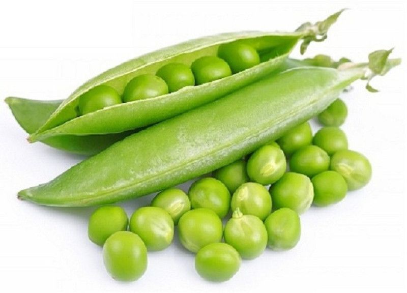 WILLVINE Green Peas vegetable seeds Seed  (500 per packet)