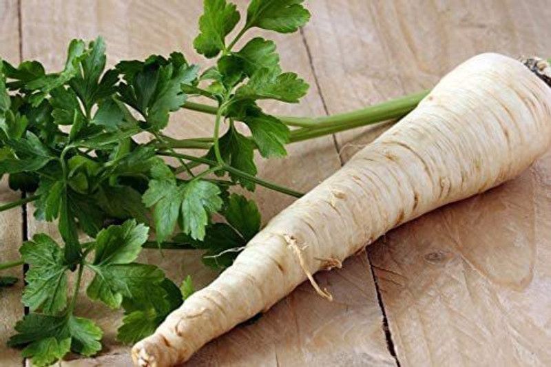 VibeX ® VMR-220 Parsley Hercules Green Seed  (500 per packet)