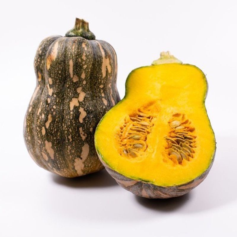 ErTh Green Variety Organic Pumpkin Vegetable Seed  (50 per packet)