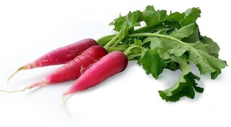 XOLDA Hybrid Red Radish Seed  (64 per packet)