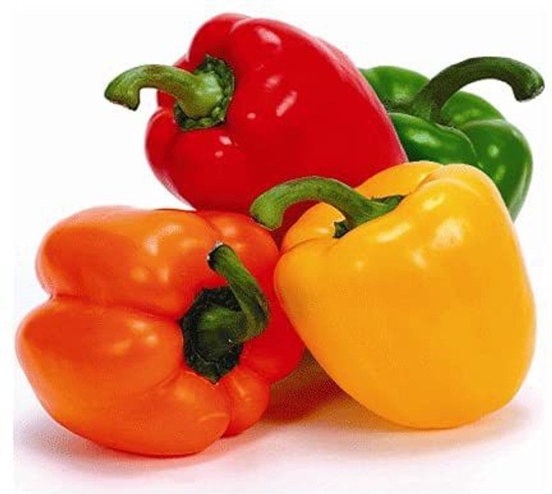 JRYU Capsicum(Shimla Mirch) Seed  (245 per packet)
