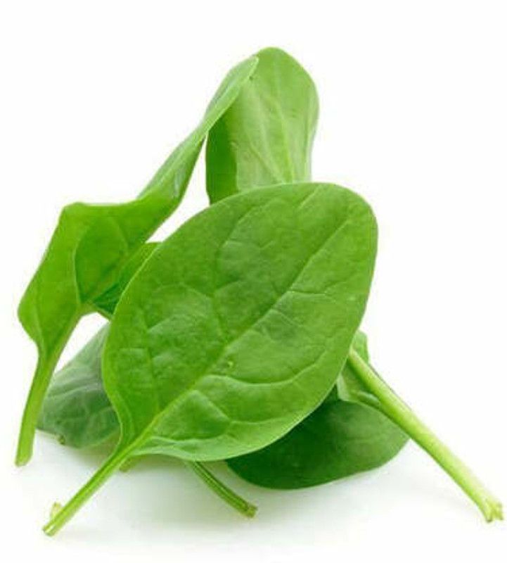 Nodoc Organic palak Seed  (29 per packet)