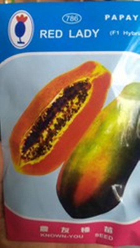 FRESH SEEDS Red Lady F1 Hybrid 786 Papaya Seeds( 180 Seeds )(RDLDD-348) Seed  (180 per packet)