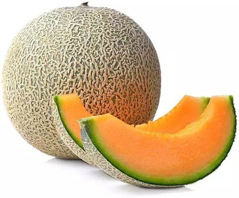 MRCY Super Sweet Musk Melon Fruit Seed  (100 per packet)