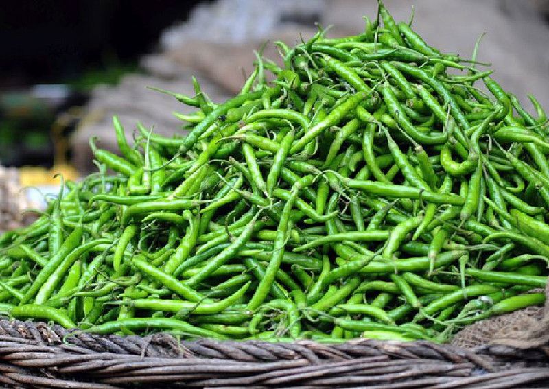 Paudha Green Chilli Seed  (100 per packet)