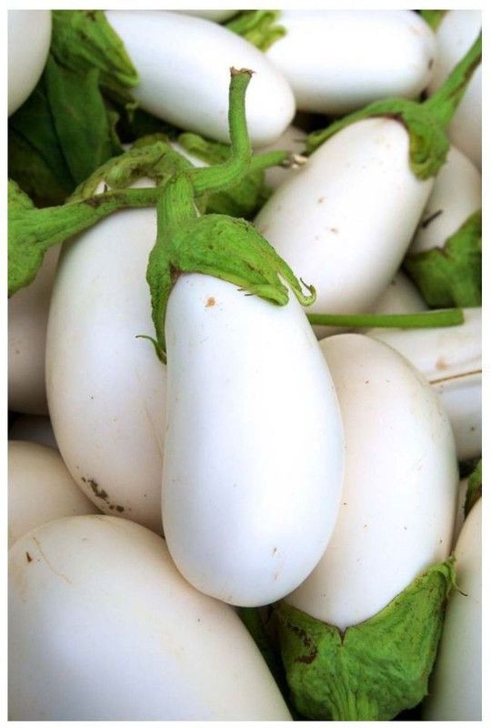 Nodoc White Brinjal Seed  (50 per packet)