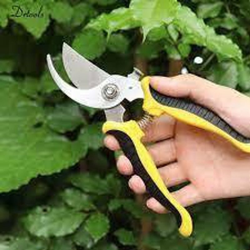 gt shakti GT-SE852 Garden Tool Kit  (1 Tools)