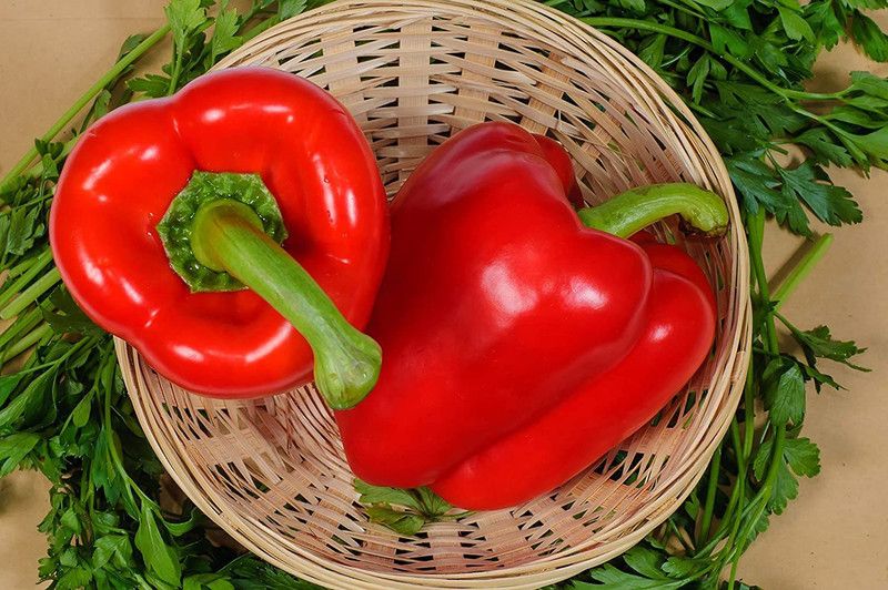 JRYU Shimla Mirch F1 Hybrid Vegetable Seed  (1000 per packet)